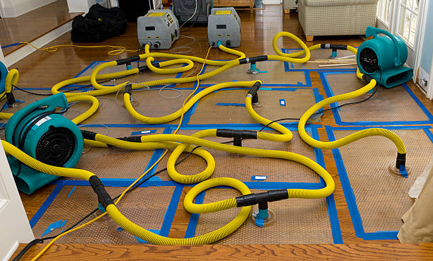 Professional Crawl Space Water Removal technician working in Pease, MN